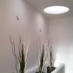 Loro *