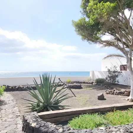 Loro Playa Honda