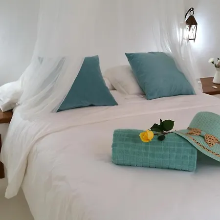 Willa Loro *