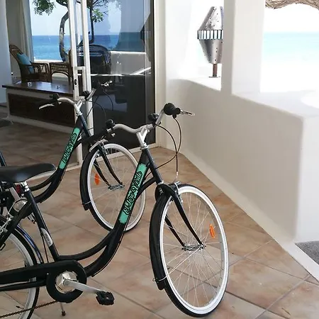 Villa Loro Playa Honda
