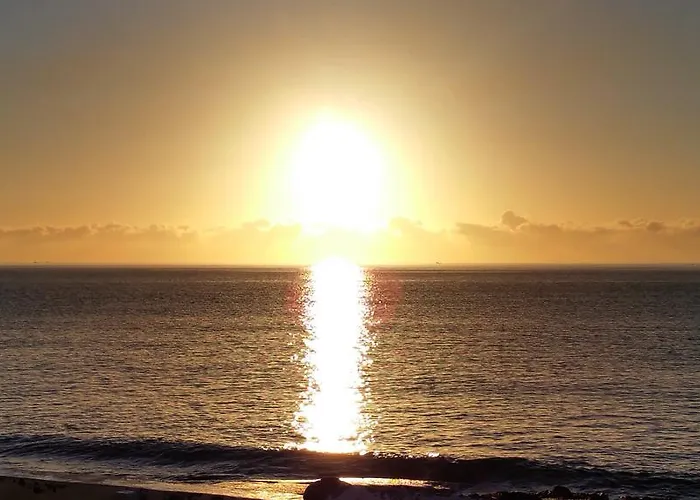 Loro * Playa Honda (Lanzarote)