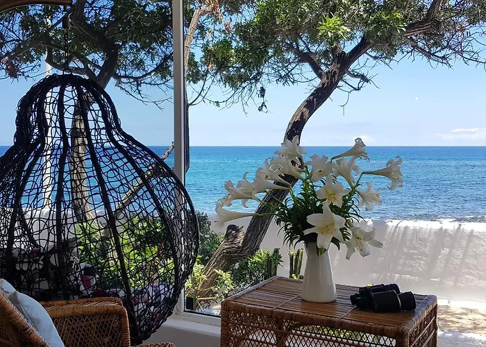 Loro Playa Honda (Lanzarote)