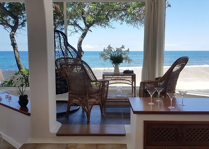 Loro Playa Honda (Lanzarote)